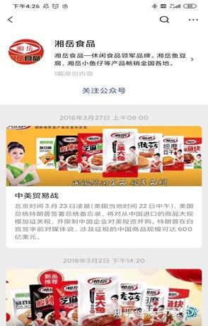 岳阳知名食品企业的网络营销分析报告